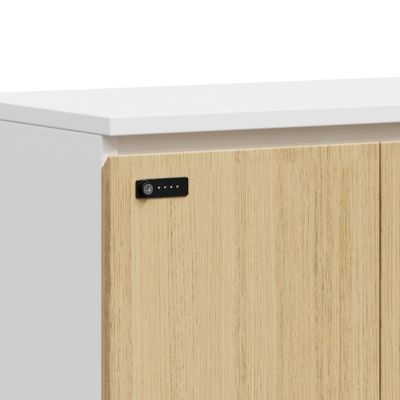 Direct Factory Supply Custom Wooden File customization Cabinet Warm Tone Metal Material Password Lock Simple Storage School Living Room Hotel