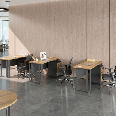 Independent Desk With Wire Box And Adjustable Steel Foot Board For Company Executives, Office Furniture