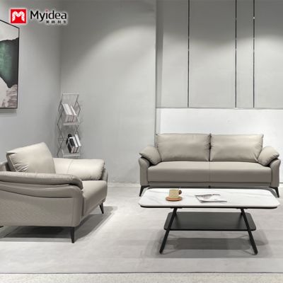 Cat Scratch Leather Sofa, Small-sized Living Room, Simple Double and Three Person Nordic Clothing Store Apartment, Orange Color