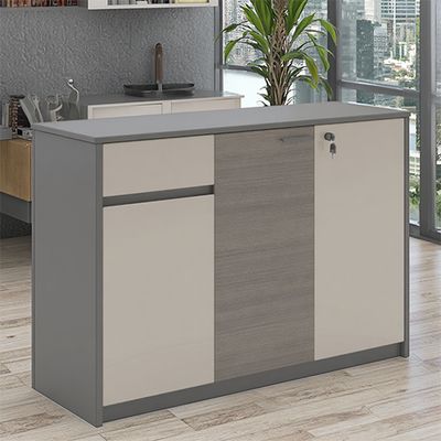 Company Leisure Area, Fashionable Tea Water Cabinet, Board Type Storage, Document Items, Low Cabinet, Practical Office, Wall Mounted, Floor Standing Cabinet