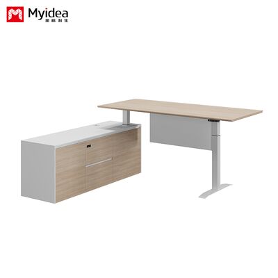customization Simple Supervisor Desk Silent Dual Motor Lifting Desk, Stable and Multifunctional Office Design, Practical Desk