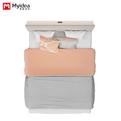 customization Single Soft and Comfortable Apartment Bed Board with Charging Port Convenient Single Bed Simple Homestay Bed