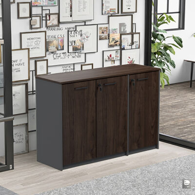 Dark-toned Modern Design Eco-Friendly Filing Cabinet for Office Space Use Easy Assembly Factory wholesale